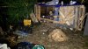 2 adult dogs, 8 puppies seized in Stratford, owner reportedly arrested for animal cruelty