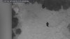Inspector general report details moments before Bristol officer fatally shot man