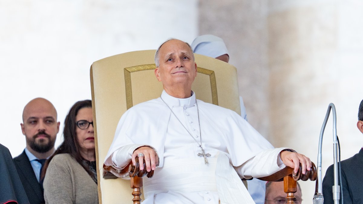 Pope Leo XIV cancels Assisi trip on doctors' advice as he recovers from surgery
