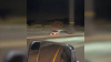 Wrong-way drivers reported twice over the weekend in Connecticut
