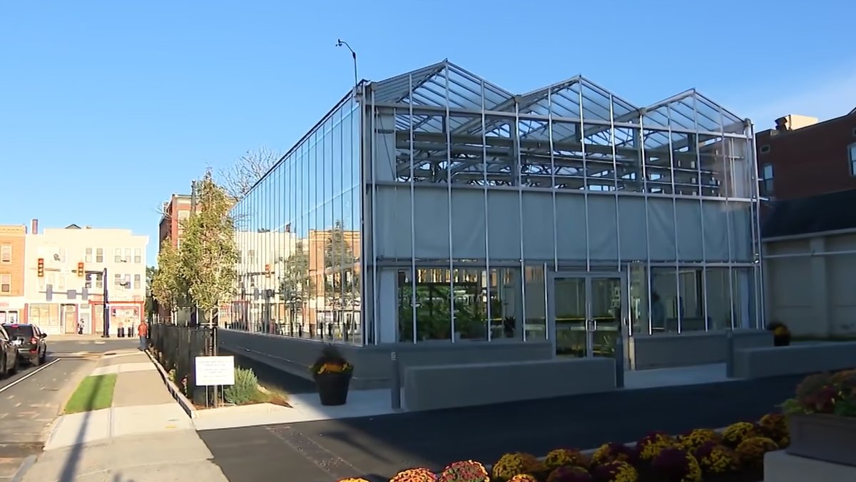 Middletown urban greenhouse yields fresh produce, botanical garden