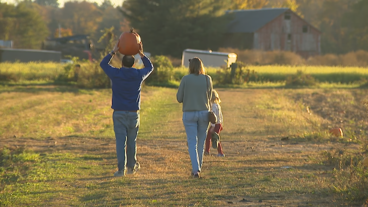 Pumpkin prices are rising, but Connecticut families are still heading to the patch