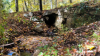 Hundreds of Connecticut culverts assessed for condition and impact to wildlife