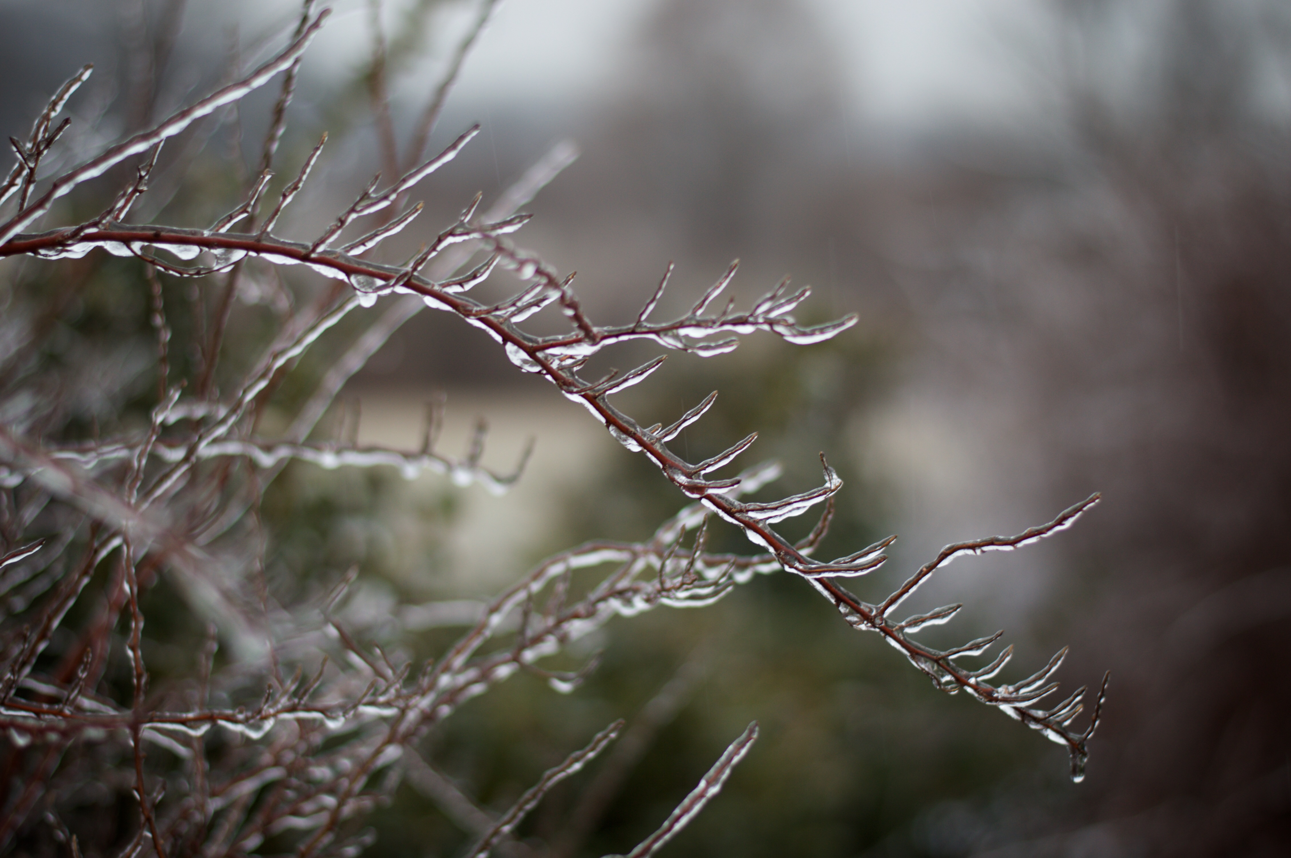 Your Ice and Snow Photos