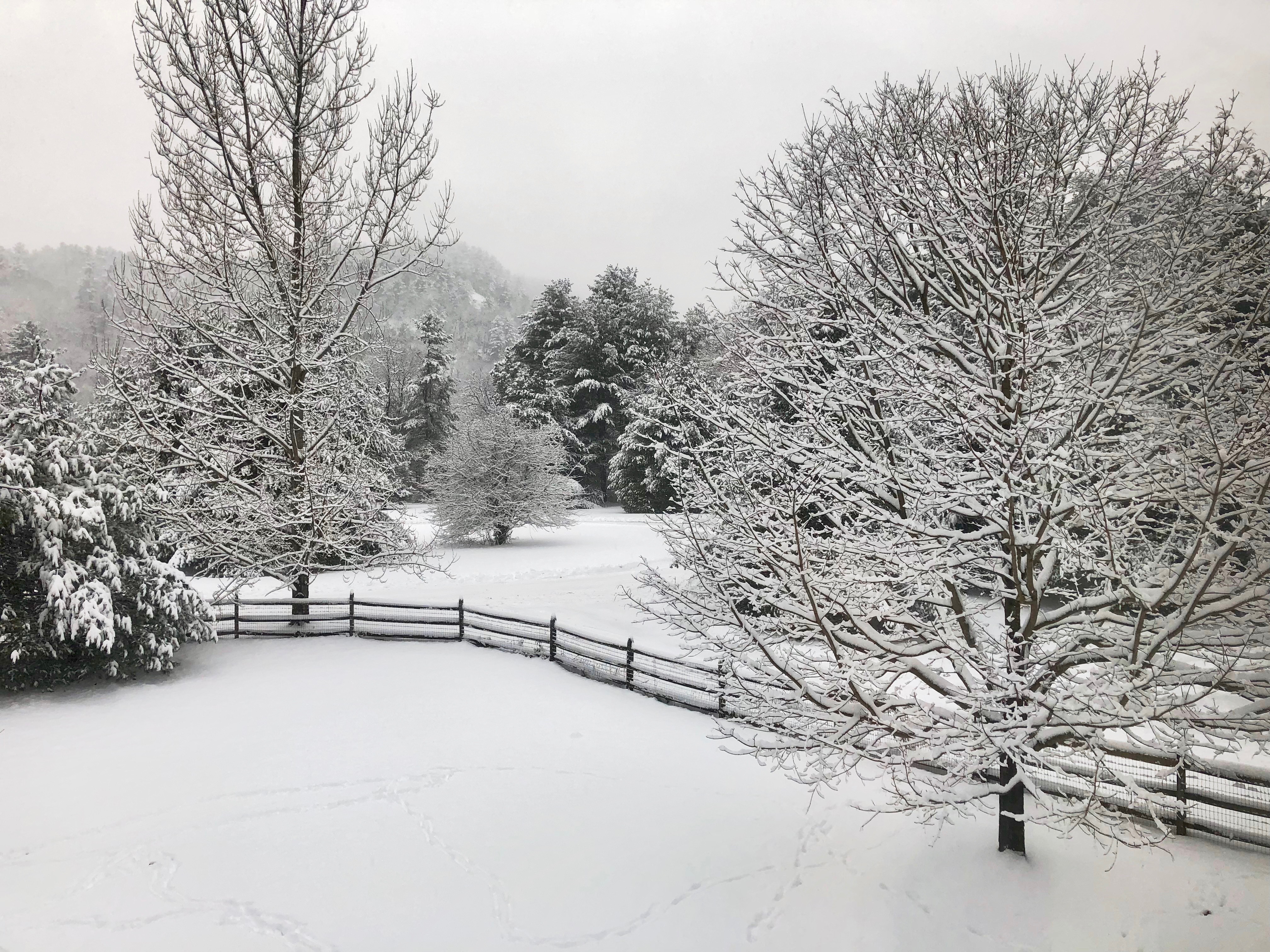 Snowfall Totals for Jan. 17