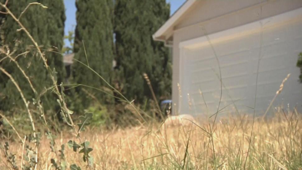 See Effects of Drought From Above