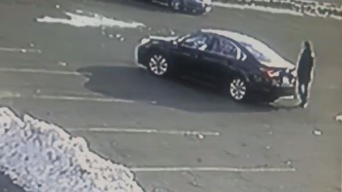 Abandoned Chickens Found Behind Dumpster in Bristol