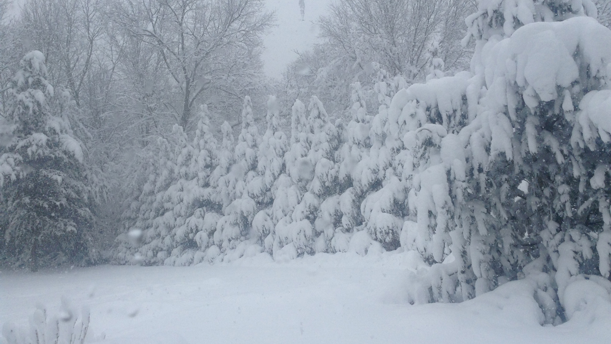 School Delays for Wednesday After Third Nor'easter