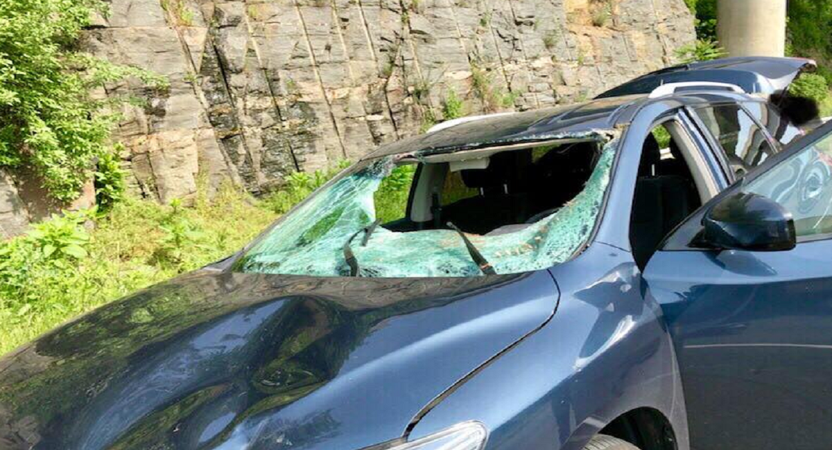 Deer Collides with Car on Route 8 in Trumbull