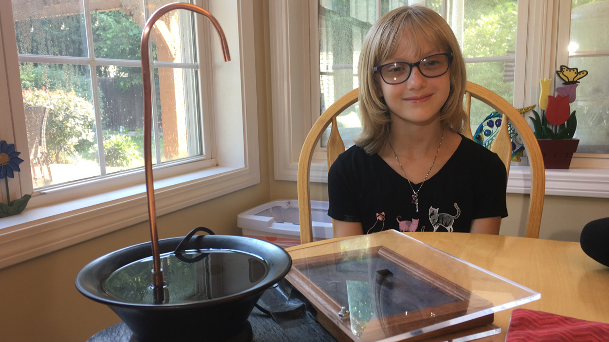 Southington Girl Creates Drinking Fountain for Cats
