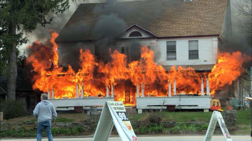 2 Dogs, 10 Puppies Killed in Canterbury Fire