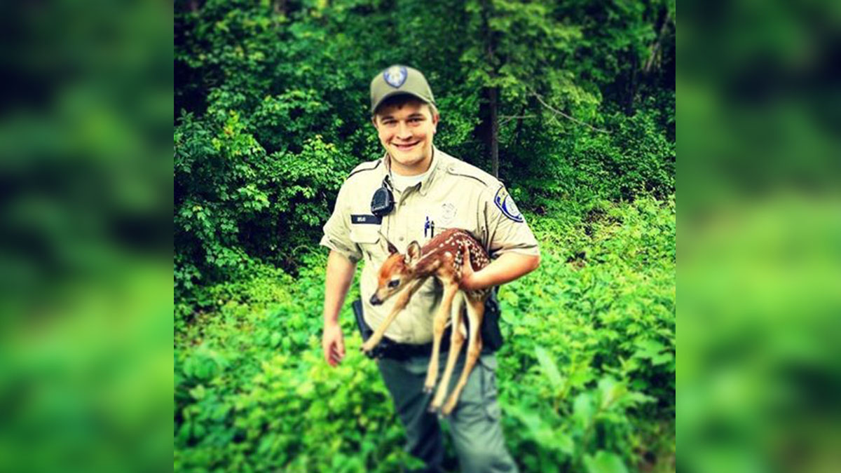 Fawn Returned to Mother After Laying in Road