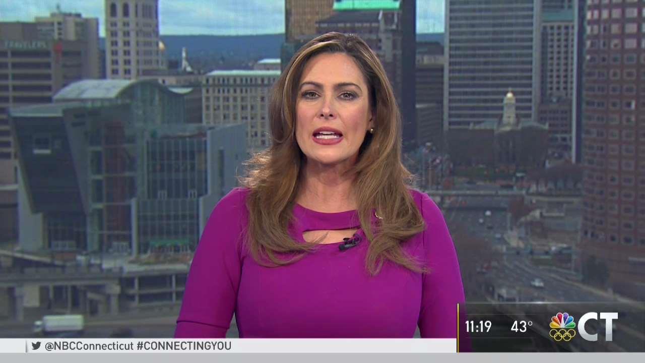 ECSU Chooses Plastic Animals as 2017 Toy of the Year