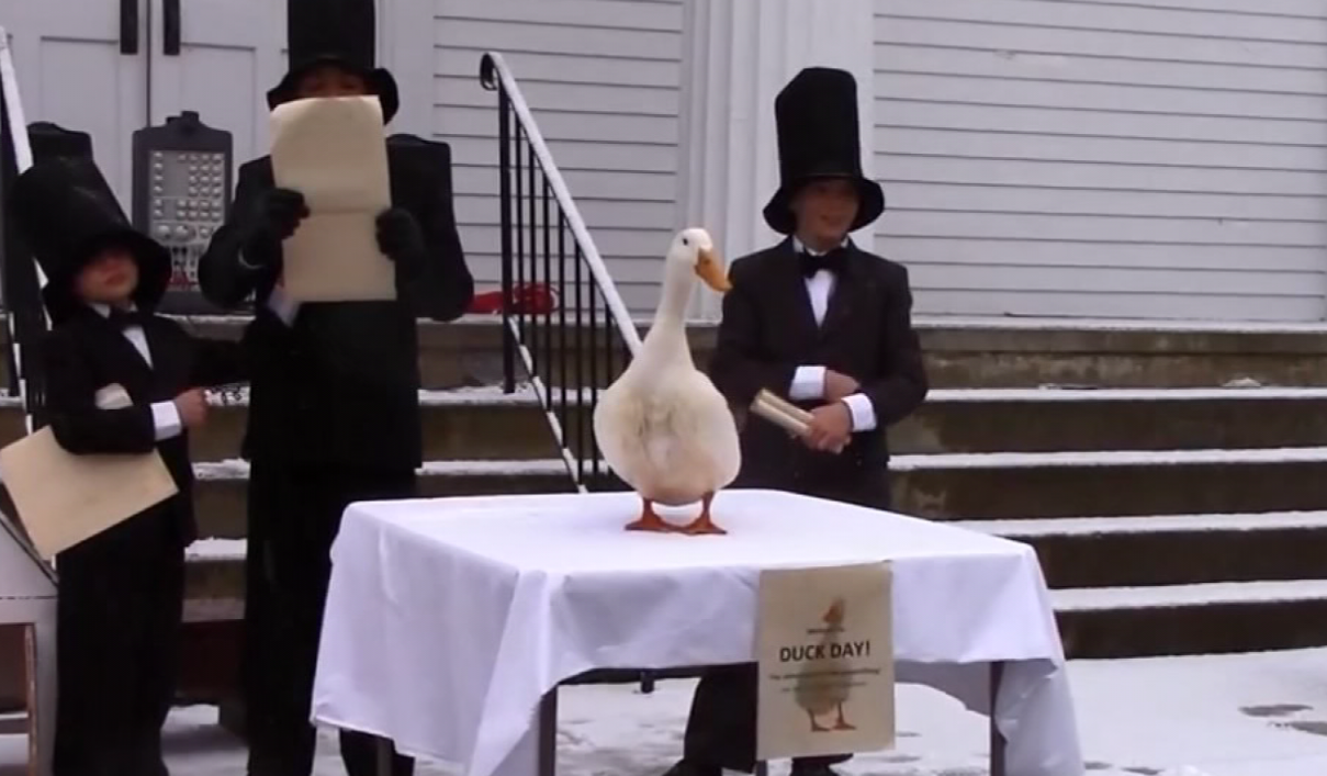 Eastford Duck Makes Weather and Super Bowl Prediction