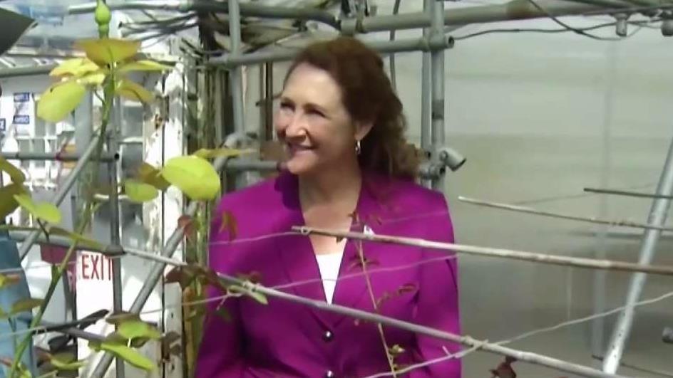 Possible Replacements Line Up for U.S. Rep. Esty's Seat