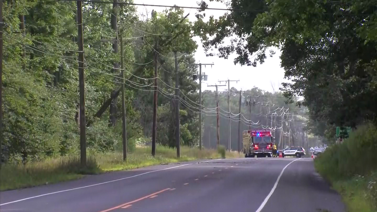 Route 4 in Farmington Reopened After Tree Comes Down