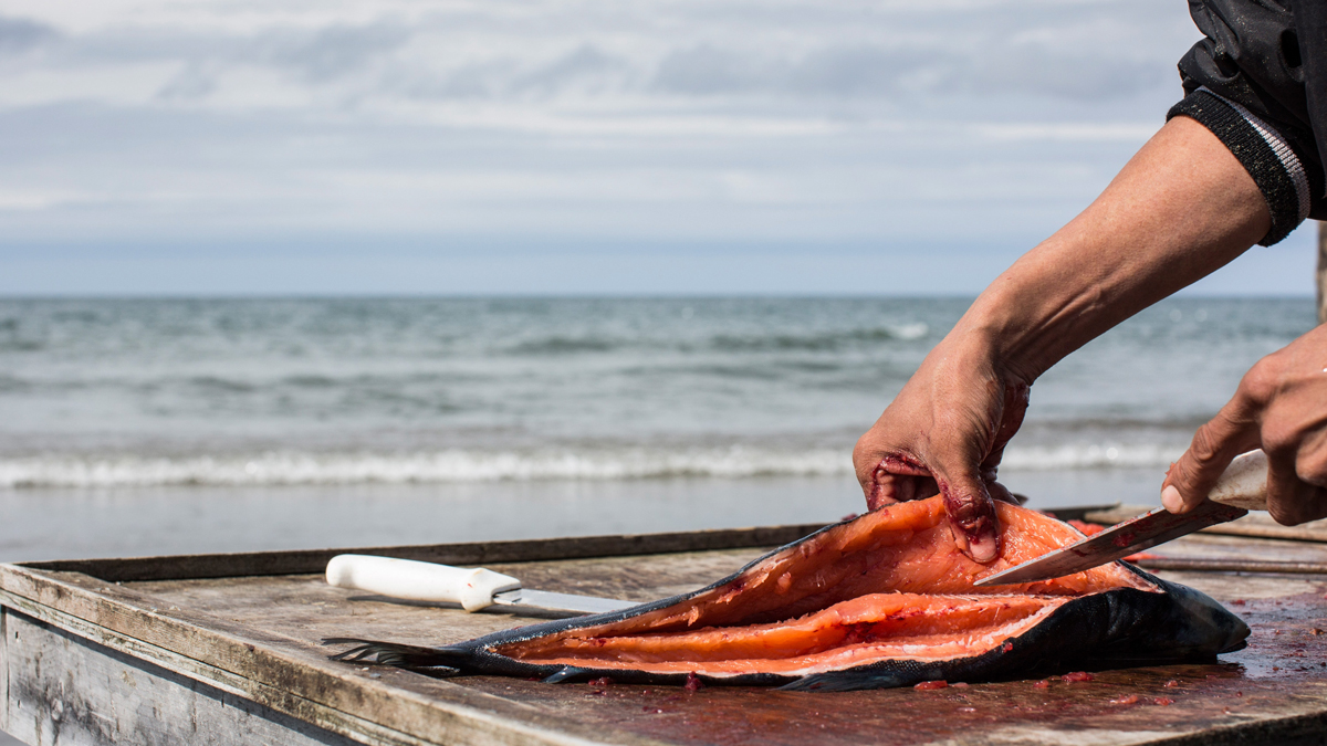 Our Top Viewed News Stories of 2017