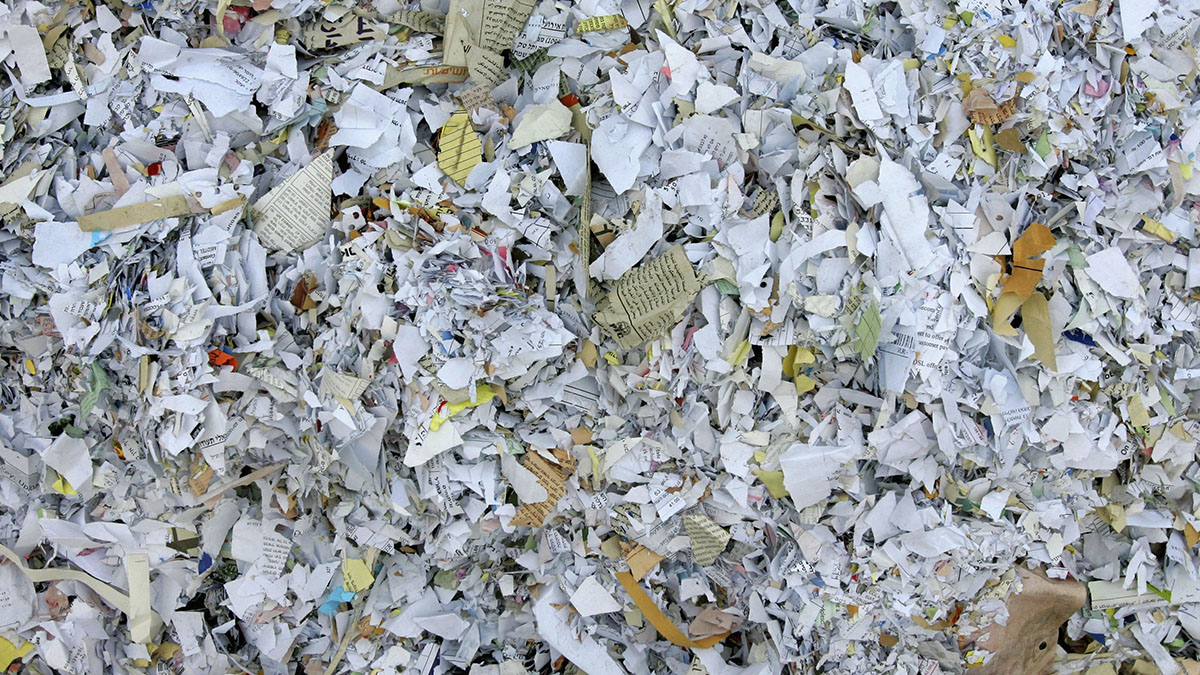 What You Can and Cannot Put in a Recycling Bin in Connecticut