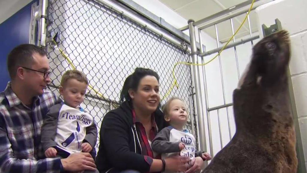 Little Girl Has Special Meeting With Seal in Mystic