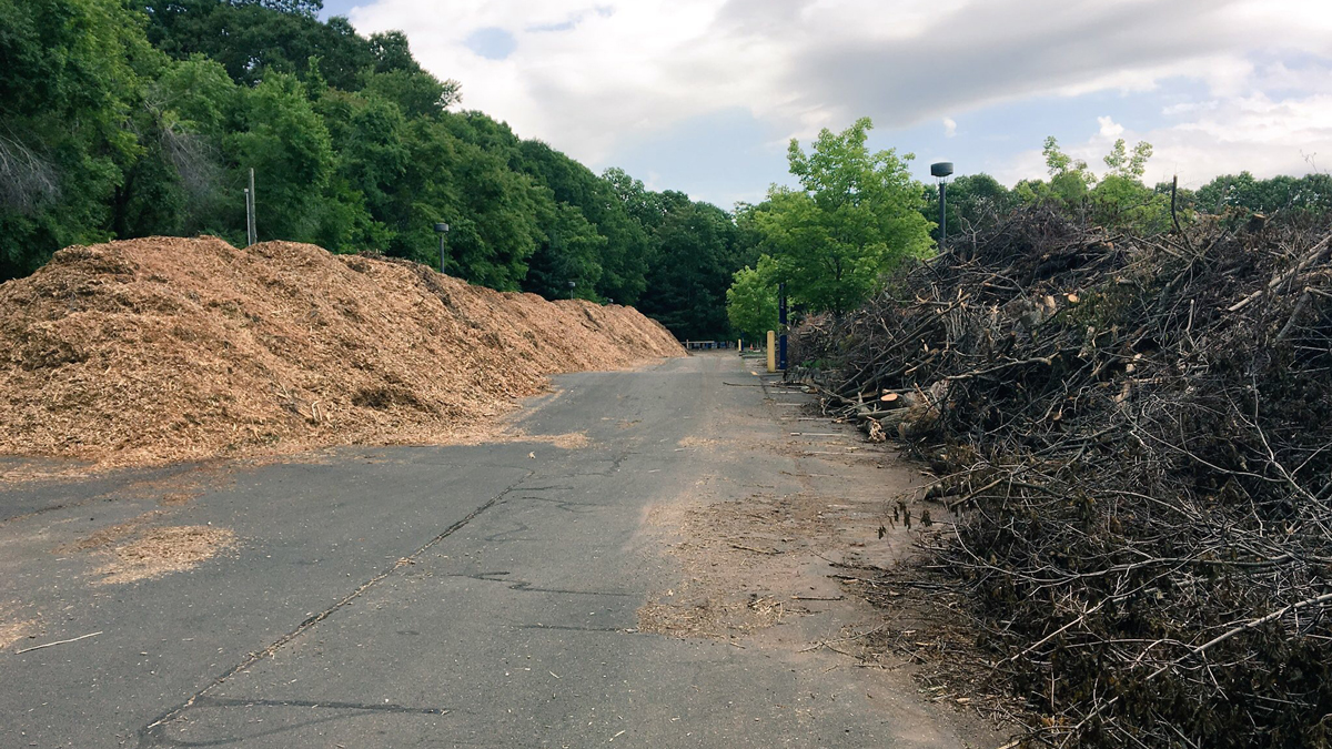 Mountains of Mulch: Hamden Storm Cleanup Continues