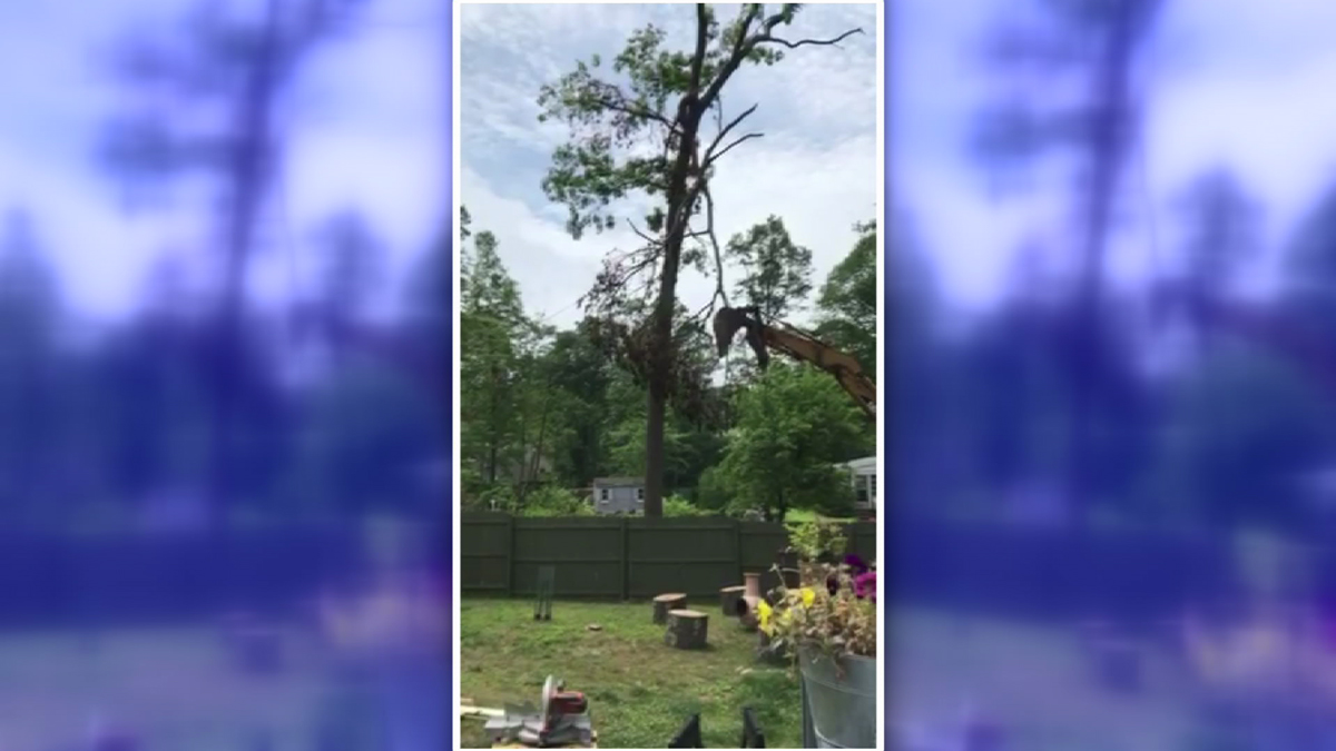 Hamden Family’s Property Damaged During Storm Cleanup