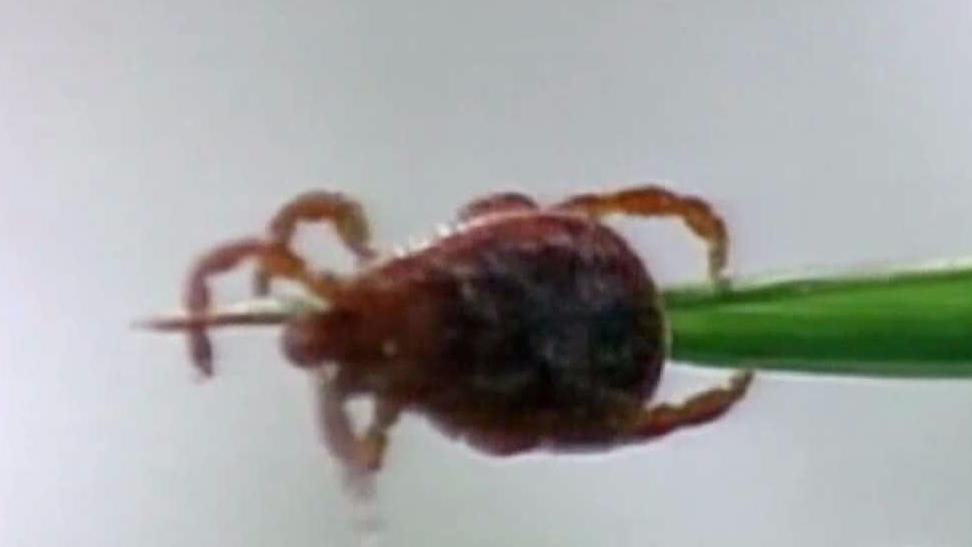New London Health District Forms Task Force of Fight Tick Diseases