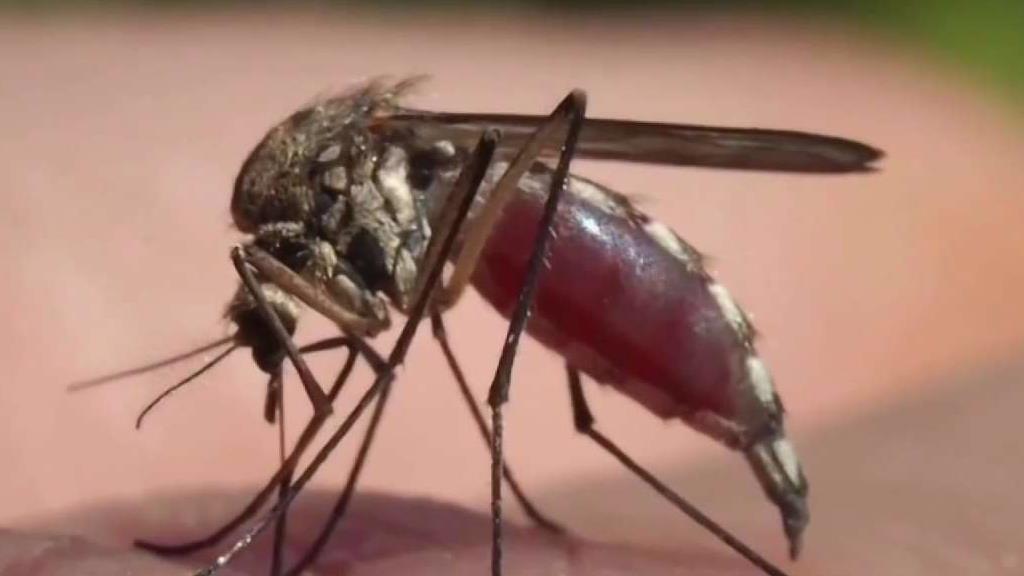 State Warns of Rapid Increase in West Nile Virus