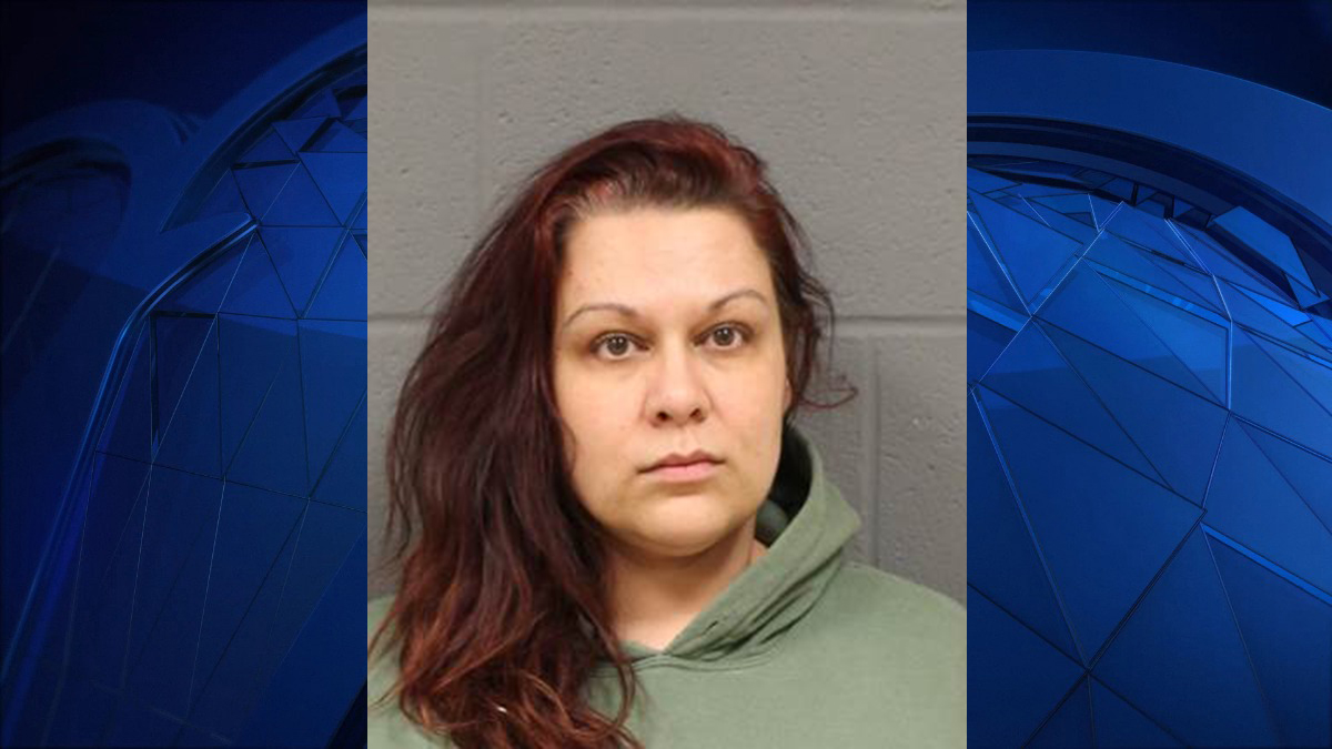 Owner Arrested After Dog Attack in New Britain