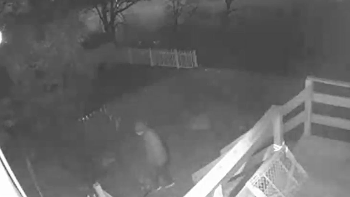 Milford Police Investigating Smash-and-Grab Home Burglaries