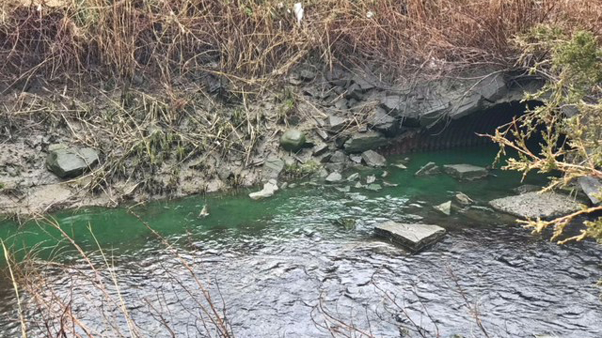 Car Wash Manager Apologizes After Spill Turned Water Green