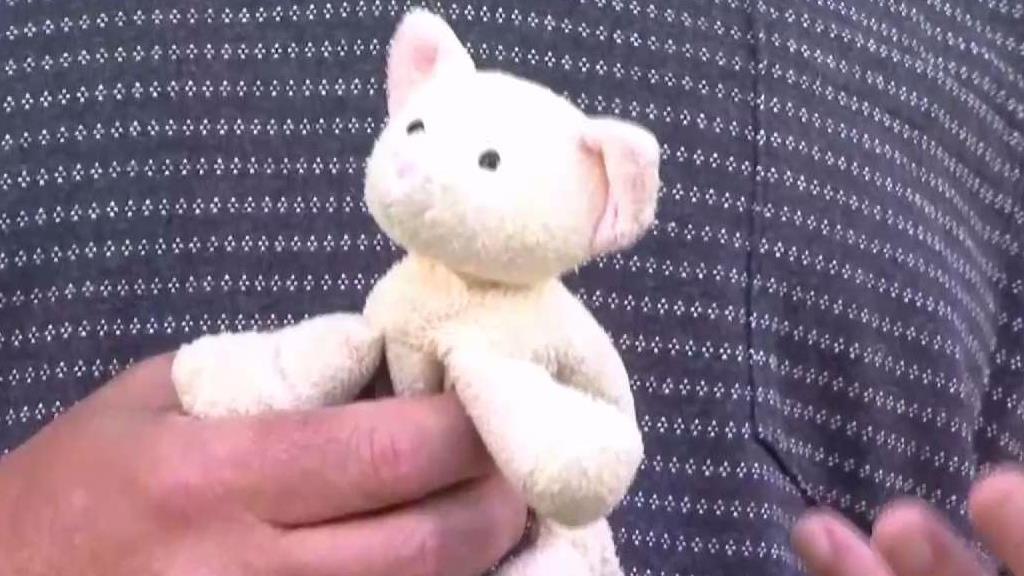 Man Wants to Reunite Stuffed Animal With Owner
