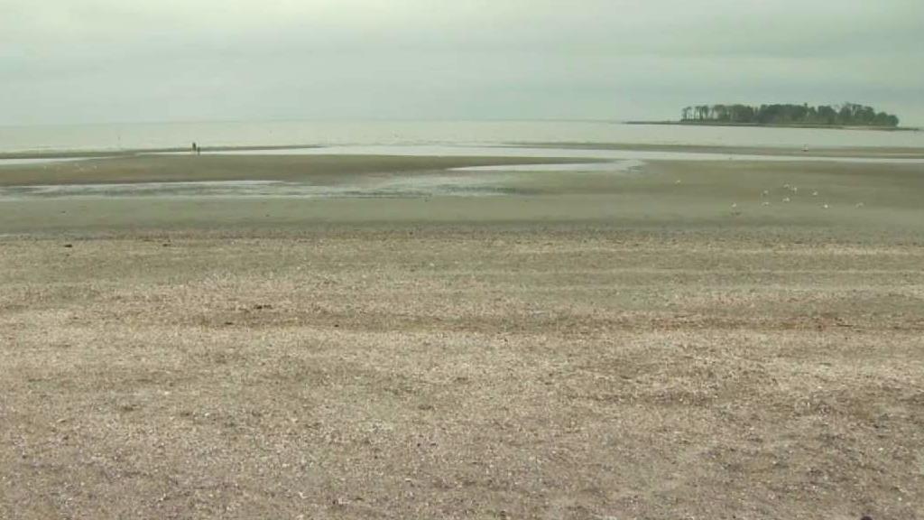 Two State Swimming Areas, Including Silver Sands, Closed