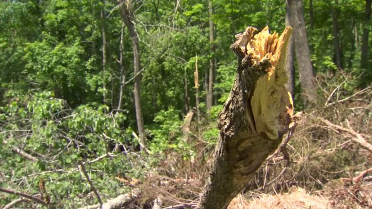 Oxford Establishes Committee to Help Residents Clear Damage