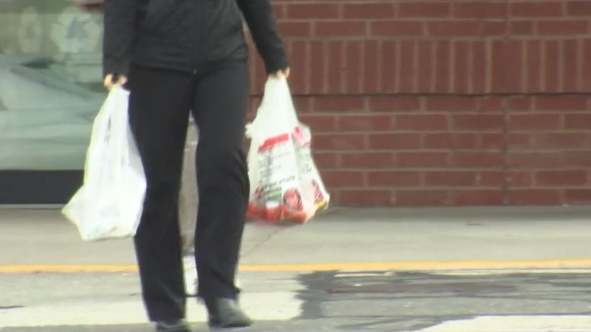 Mansfield Considers Ban on Plastic Bags