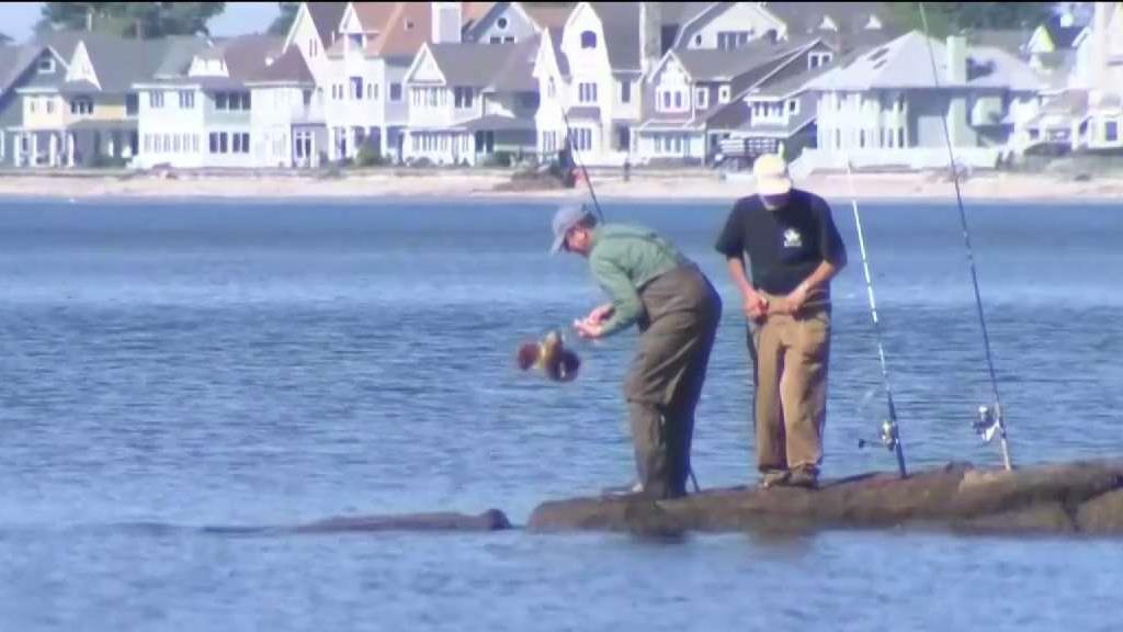 People Across CT Get Ready for Memorial Day Weekend