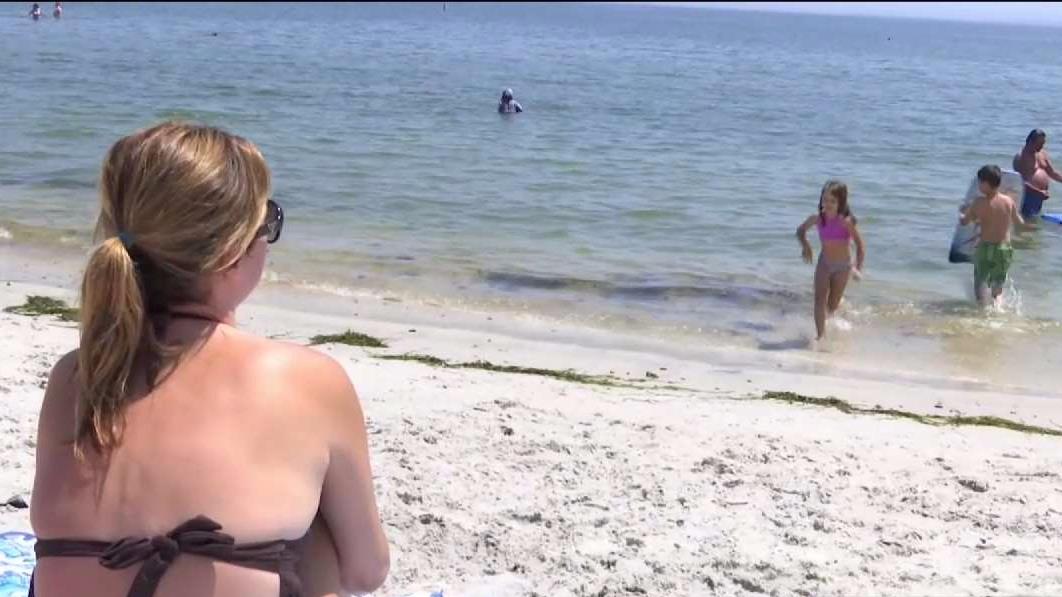 3 State Swimming Areas Reopen, 1 Still Closed for Water Quality Concerns