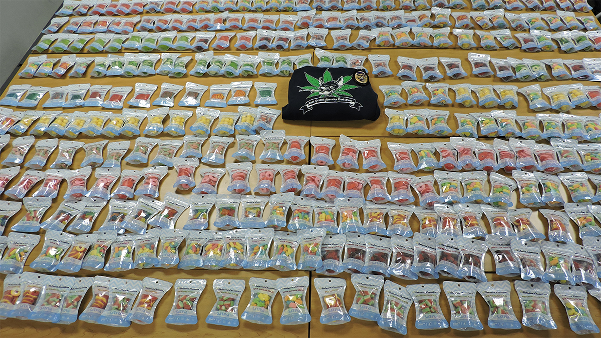 Man Charged with Operating Drug Factory in South Windsor