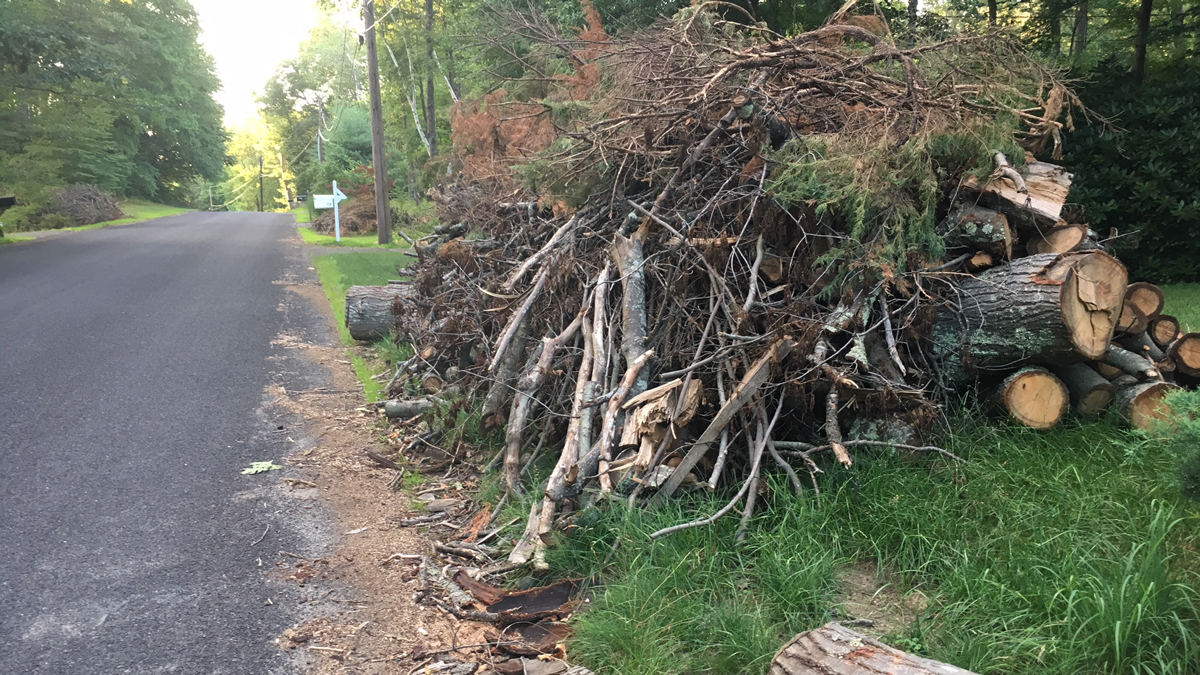 Southbury Votes to Spend $1.7 Million on Storm Cleanup