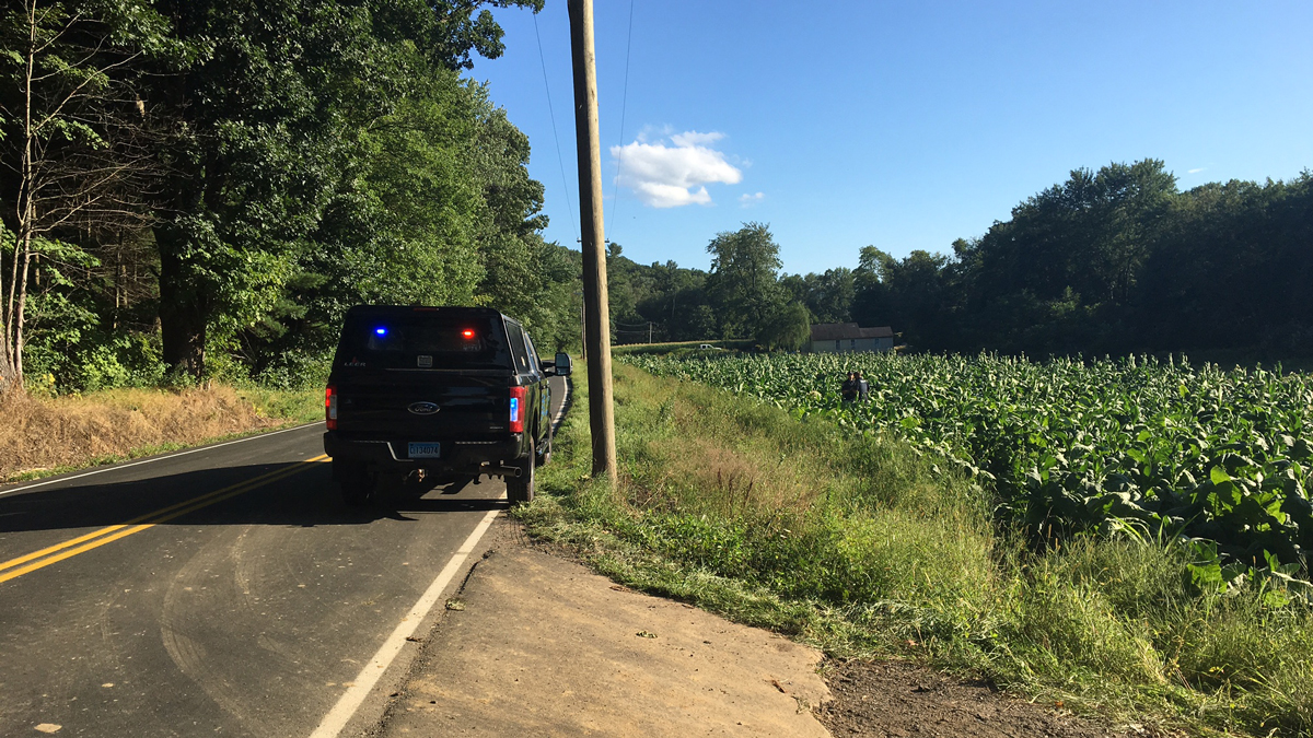 Crash Victim May Have Lain Undetected in Field for Days: PD