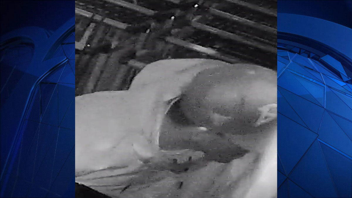 Watertown Police Looking for Man Involved in Burglary