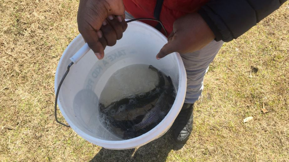 Extra Fee Now Required for Trout Fishing