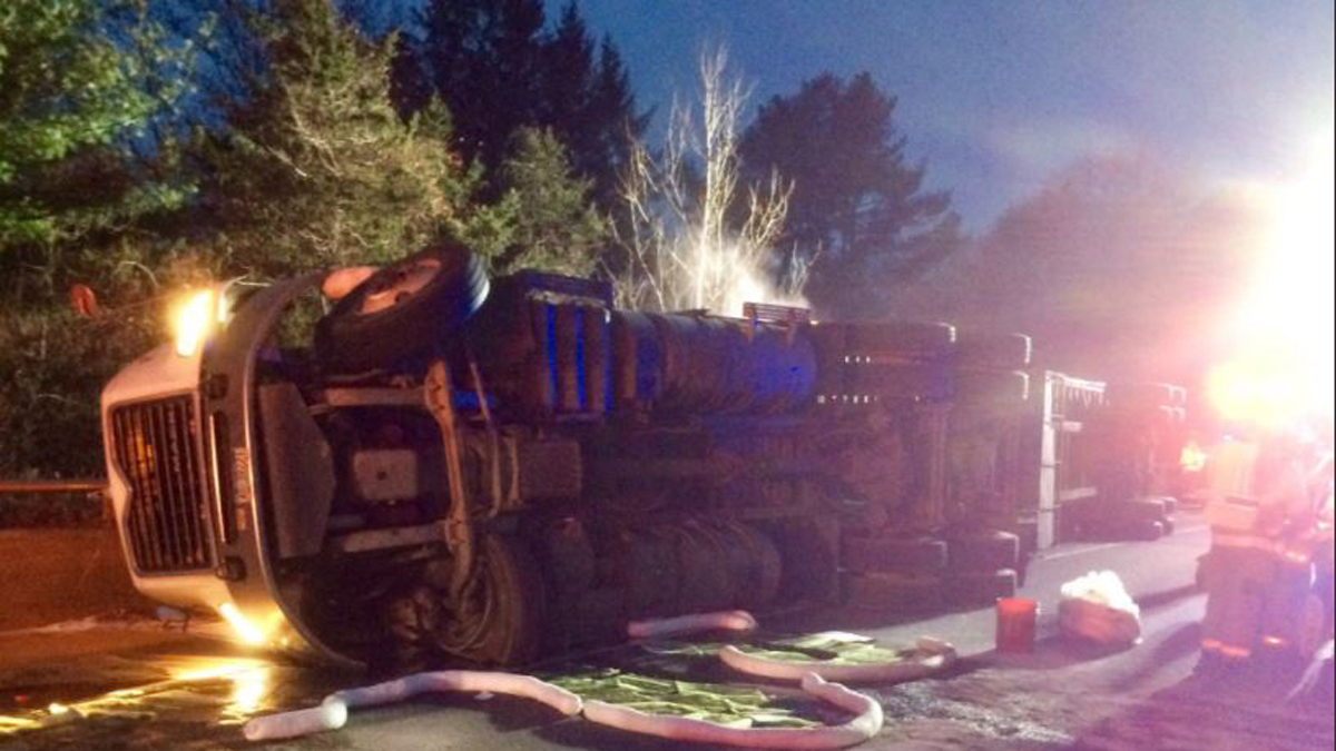 Tractor-Trailer Carrying Live Chickens Crashes in Southbury