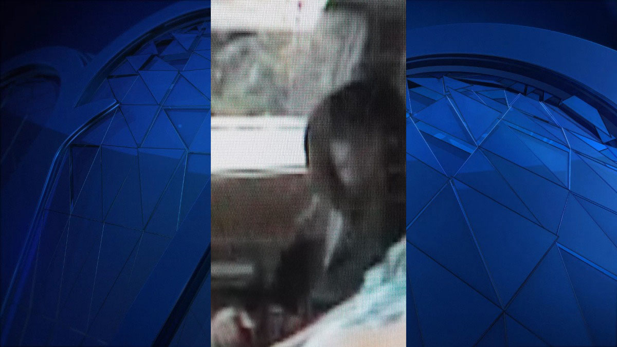 Police Search for Suspect in Thompson House Invasion