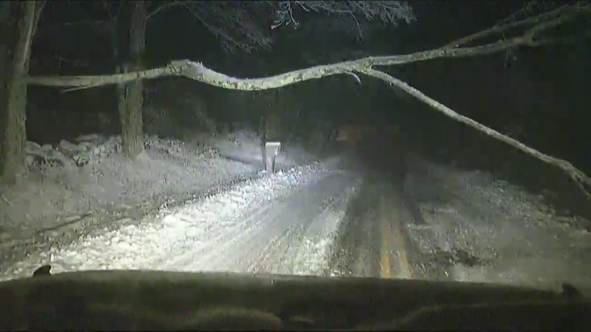 Tree Comes Down Across Old Stafford Road in Tolland