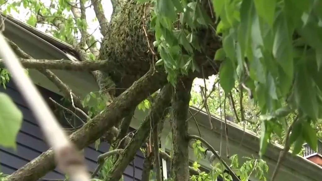 12 Homes in Newtown Condemned Due to Storm Damage