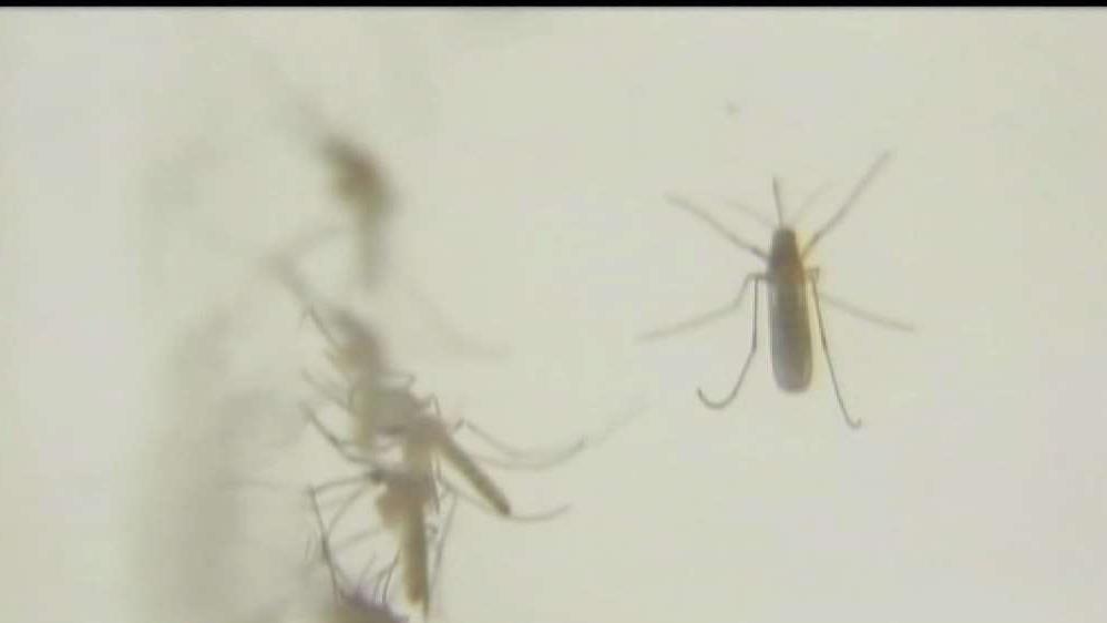 Mosquitoes in at Least 40 Towns Test Positive for West Nile Virus
