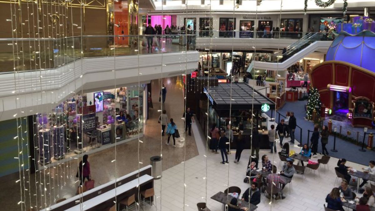 Shoppers in Search of Black Friday Deals