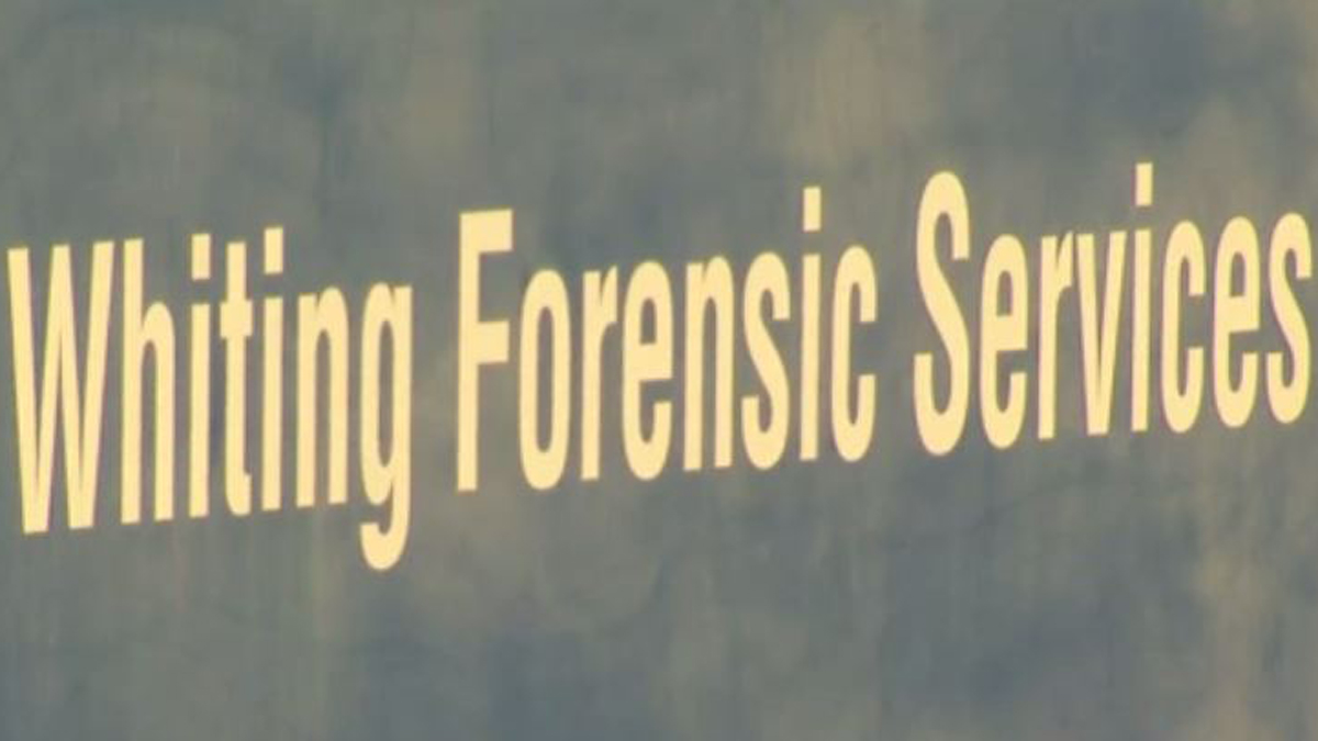 Letters From Whiting Patient at Center of Abuse Investigation