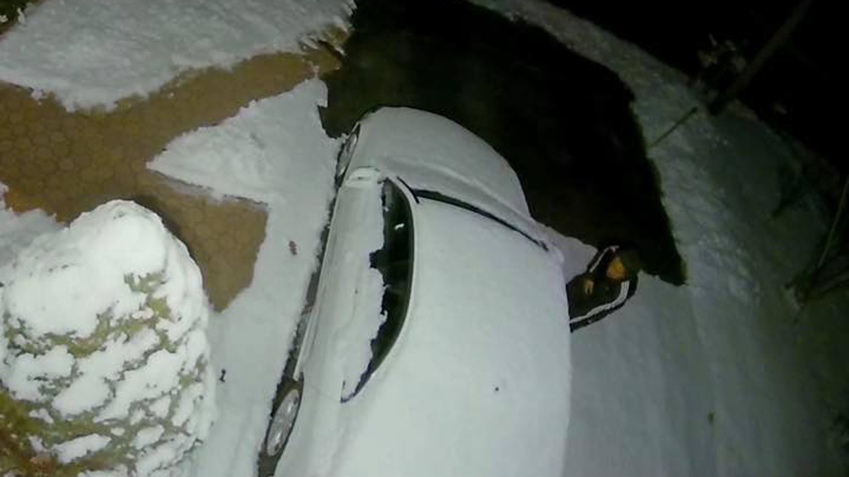 Home Security System Scares Off Would-Be Burglar: Wolcott PD