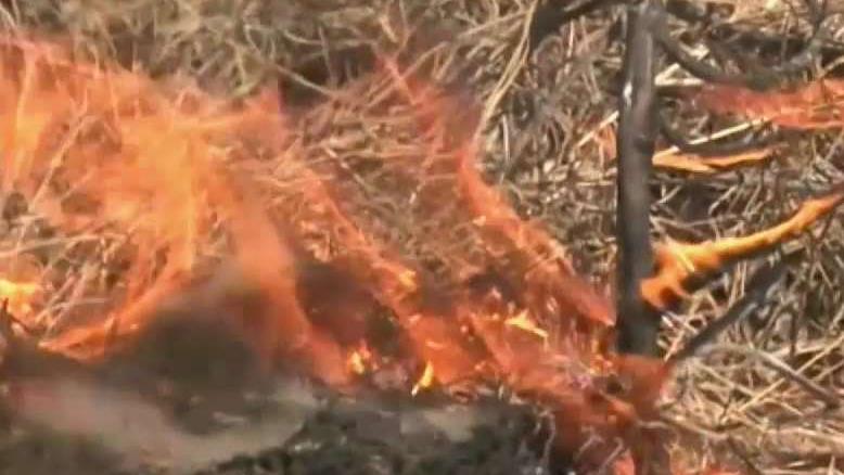 Connecticut Crews to Help Battle Wildfires Out West